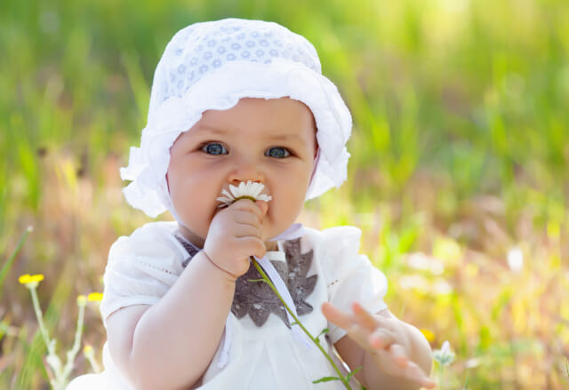 Baby on the meadow
