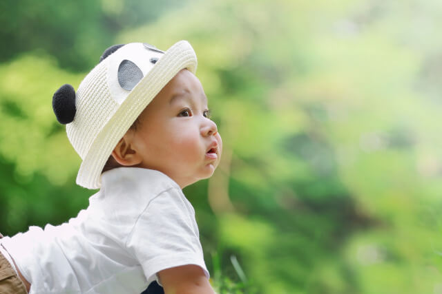 asian baby embryo transfer Embryo transfer sacramento fertility specialist